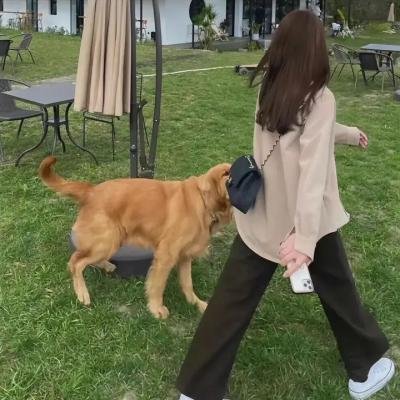 我们的纽带